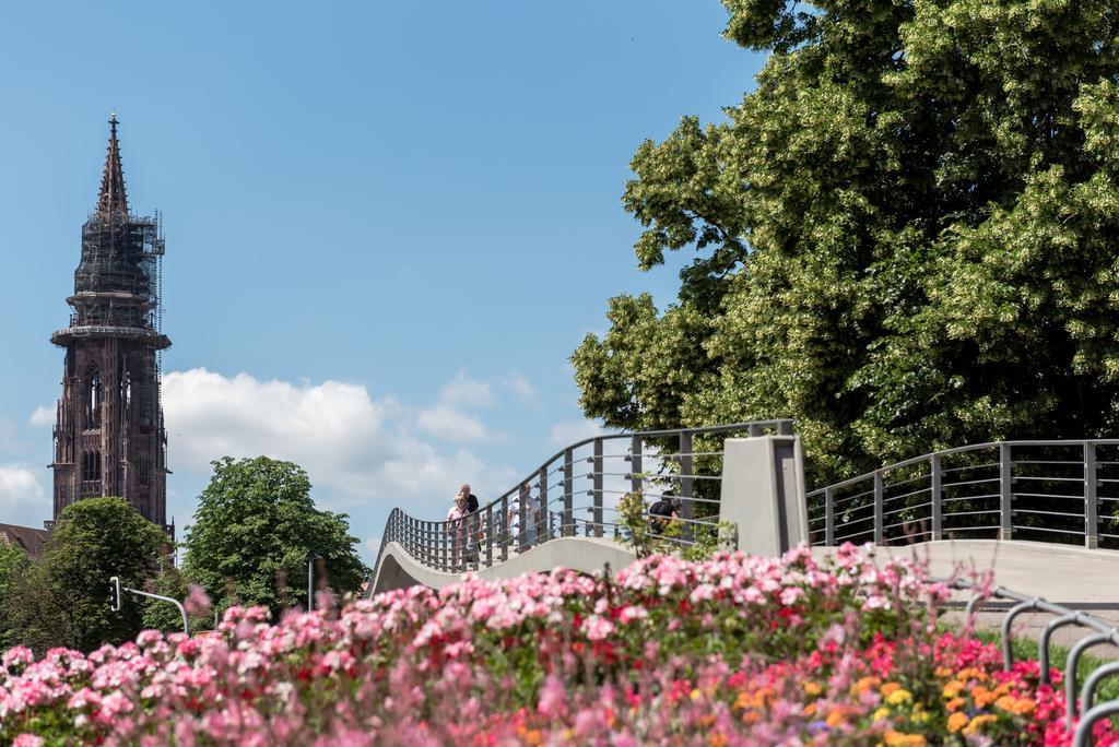 Boutique Apartments Am Stadtgarten Фрайбург Екстериор снимка